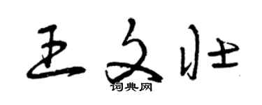 曾庆福王文壮草书个性签名怎么写