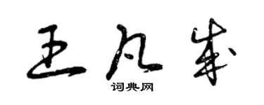 曾庆福王凡成草书个性签名怎么写