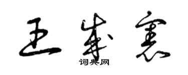 曾庆福王成宪草书个性签名怎么写