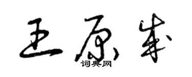 曾庆福王原成草书个性签名怎么写