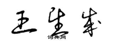 曾庆福王望成草书个性签名怎么写