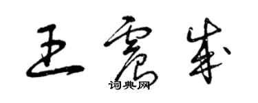 曾庆福王震成草书个性签名怎么写