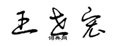 曾庆福王世宏草书个性签名怎么写