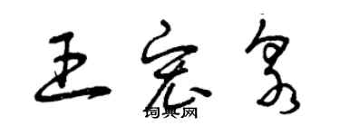 曾庆福王宏泉草书个性签名怎么写