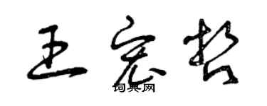 曾庆福王宏哲草书个性签名怎么写