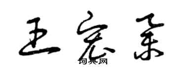 曾庆福王宏举草书个性签名怎么写