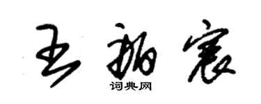 朱锡荣王舶宸草书个性签名怎么写