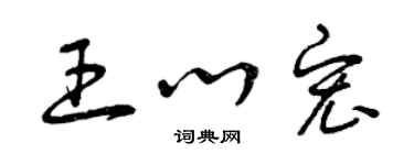 曾庆福王心宏草书个性签名怎么写