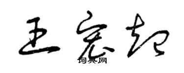 曾庆福王宏起草书个性签名怎么写