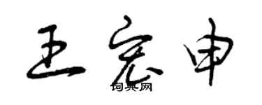 曾庆福王宏申草书个性签名怎么写