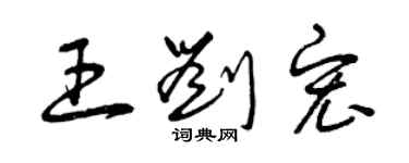 曾庆福王刘宏草书个性签名怎么写