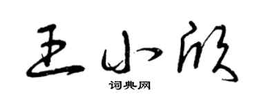 曾庆福王小欣草书个性签名怎么写