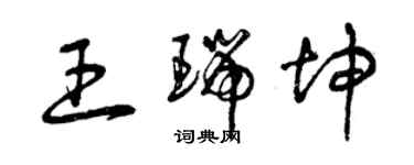 曾庆福王瑞坤草书个性签名怎么写