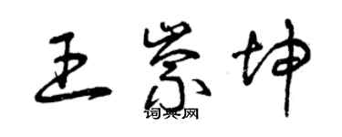 曾庆福王崇坤草书个性签名怎么写