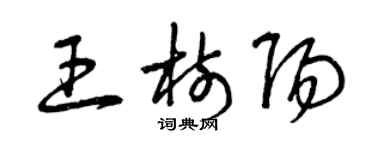 曾庆福王树阳草书个性签名怎么写