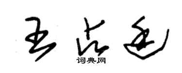 朱锡荣王占廷草书个性签名怎么写