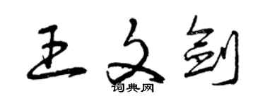 曾庆福王文剑草书个性签名怎么写