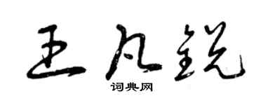 曾庆福王凡锐草书个性签名怎么写