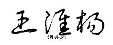 曾庆福王淮杨草书个性签名怎么写