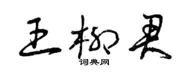曾庆福王柳君草书个性签名怎么写