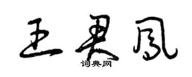 曾庆福王君凤草书个性签名怎么写