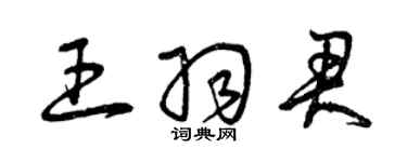 曾庆福王羽君草书个性签名怎么写
