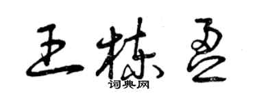 曾庆福王栋盈草书个性签名怎么写