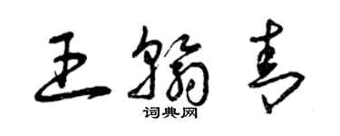 曾庆福王翰青草书个性签名怎么写
