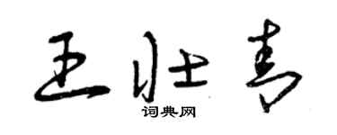 曾庆福王壮青草书个性签名怎么写