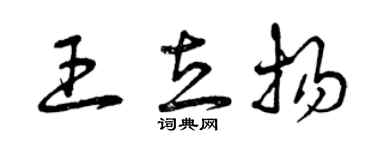 曾庆福王立扬草书个性签名怎么写