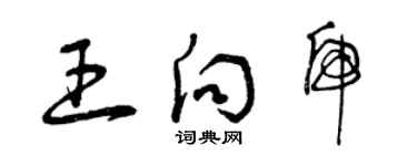 曾庆福王向虎草书个性签名怎么写