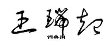 曾庆福王瑞起草书个性签名怎么写