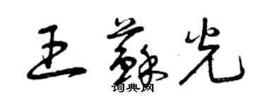 曾庆福王苏光草书个性签名怎么写