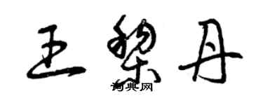 曾庆福王黎丹草书个性签名怎么写