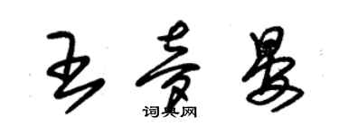 朱锡荣王梦晏草书个性签名怎么写
