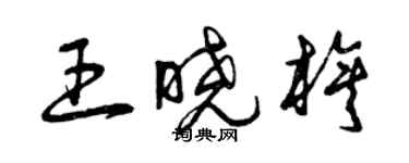 曾庆福王晓旗草书个性签名怎么写
