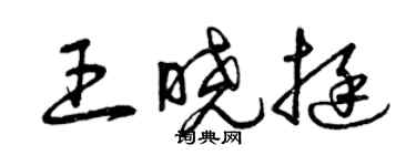 曾庆福王晓挺草书个性签名怎么写