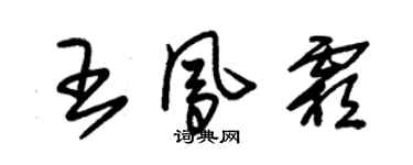 朱锡荣王凤霜草书个性签名怎么写