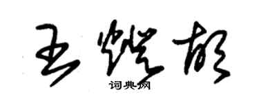 朱锡荣王灯胡草书个性签名怎么写