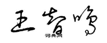 曾庆福王智鸣草书个性签名怎么写