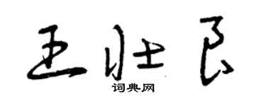 曾庆福王壮良草书个性签名怎么写