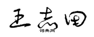 曾庆福王志田草书个性签名怎么写