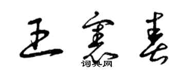 曾庆福王宪春草书个性签名怎么写