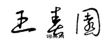 曾庆福王春园草书个性签名怎么写