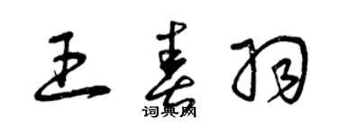 曾庆福王春羽草书个性签名怎么写