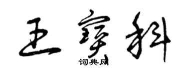 曾庆福王宝科草书个性签名怎么写