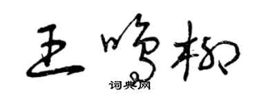 曾庆福王鸣柳草书个性签名怎么写