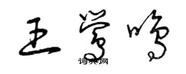 曾庆福王莺鸣草书个性签名怎么写