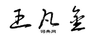 曾庆福王凡金草书个性签名怎么写
