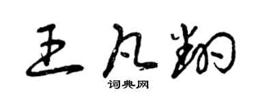 曾庆福王凡翻草书个性签名怎么写